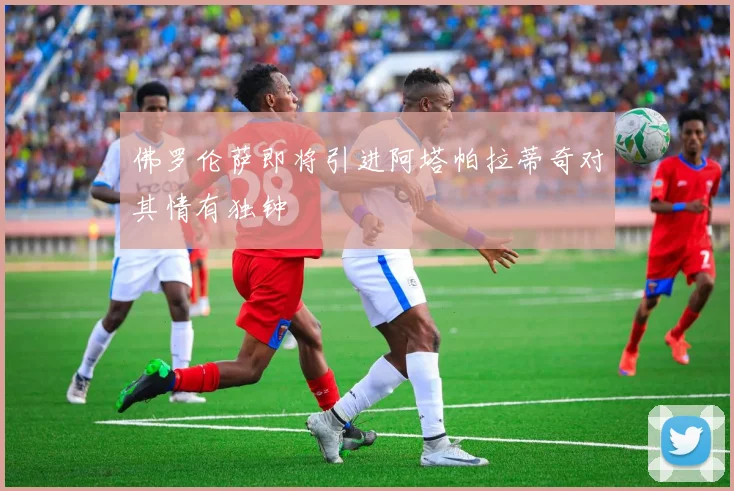 佛罗伦萨即将引进阿塔帕拉蒂奇对其情有独钟